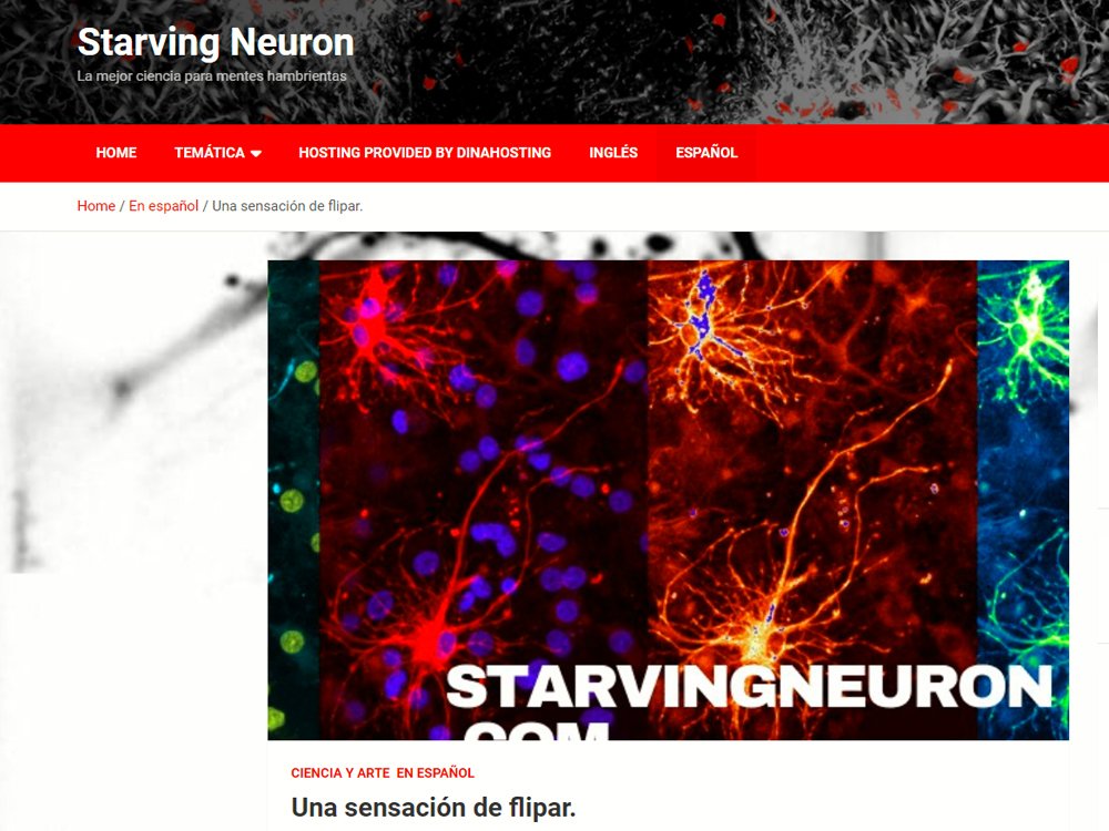 2014. Starving Neuron Bloga. 